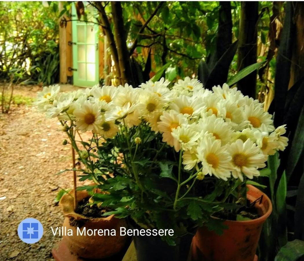 Villa Morena Benessere ฟลอเรียนอโปลิส ภายนอก รูปภาพ