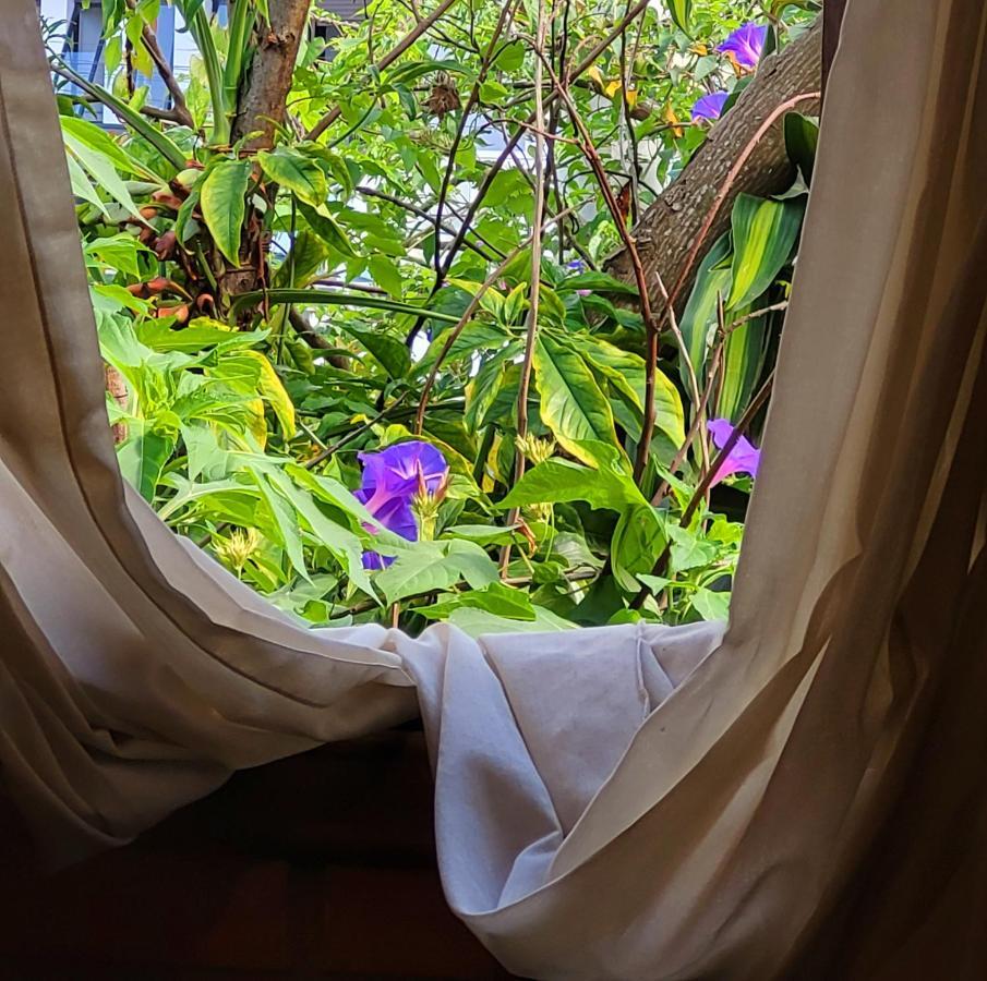 Villa Morena Benessere ฟลอเรียนอโปลิส ภายนอก รูปภาพ